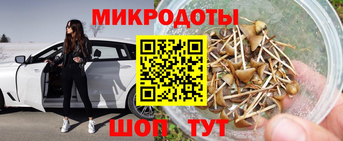 Галлюциногенные грибы Cubensis Сунжа