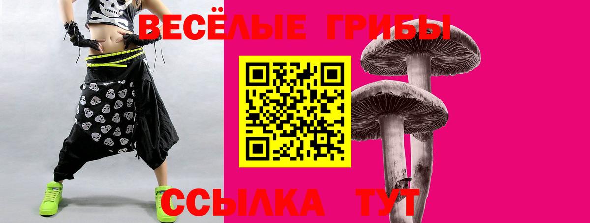 Сунжа  купить наркотики цена  Вход с VPN  Псилоцибиновые грибы GOLDEN TEACHER 